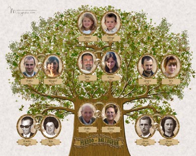 Arbol Genealogico