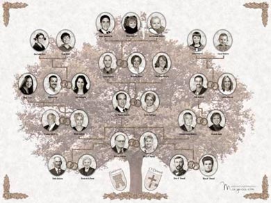 Arbol Genealogico